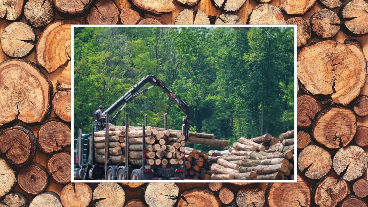 Vertically Integrated Hardwood Sawmill & Logging Operation | Central PA (38085)