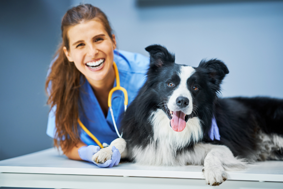 Veterinary Practice with Decades of Excellence