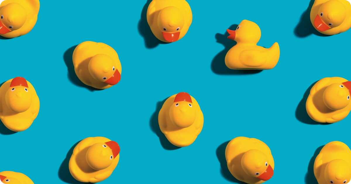 Unique Rubber Duck & Collectibles Business | Jeep Lover's Dream