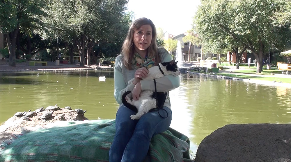 Pet Testimonial (Murphy)