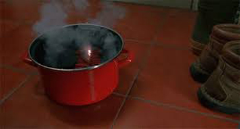 Enamel on steel stock pot in Home Alone