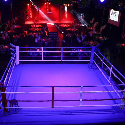 Ringside _14 of 197_.jpg