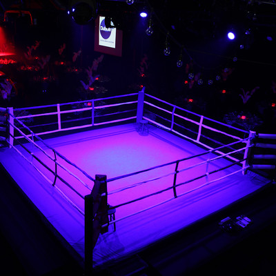 Ringside _16 of 197_.jpg