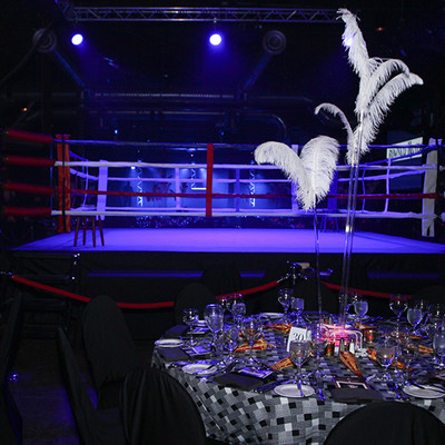 Ringside _18 of 197_.jpg