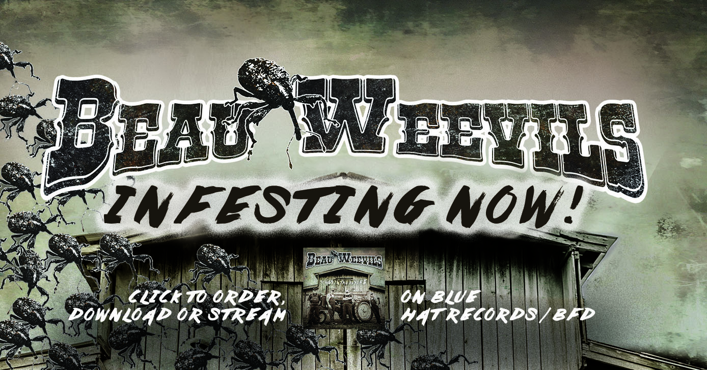 Beau Weevils Infesting Now Order Now