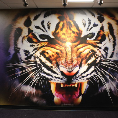 IMG_0111.jpg IMG_0111.jpg