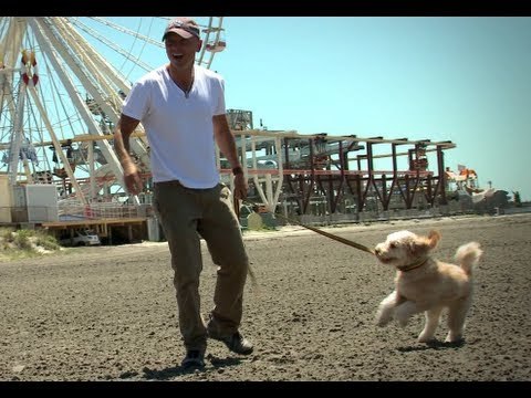 On Location w/ Poncho - Amex UNSTAGED