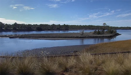 Views From Latitude Margaritaville Watersound Webcam