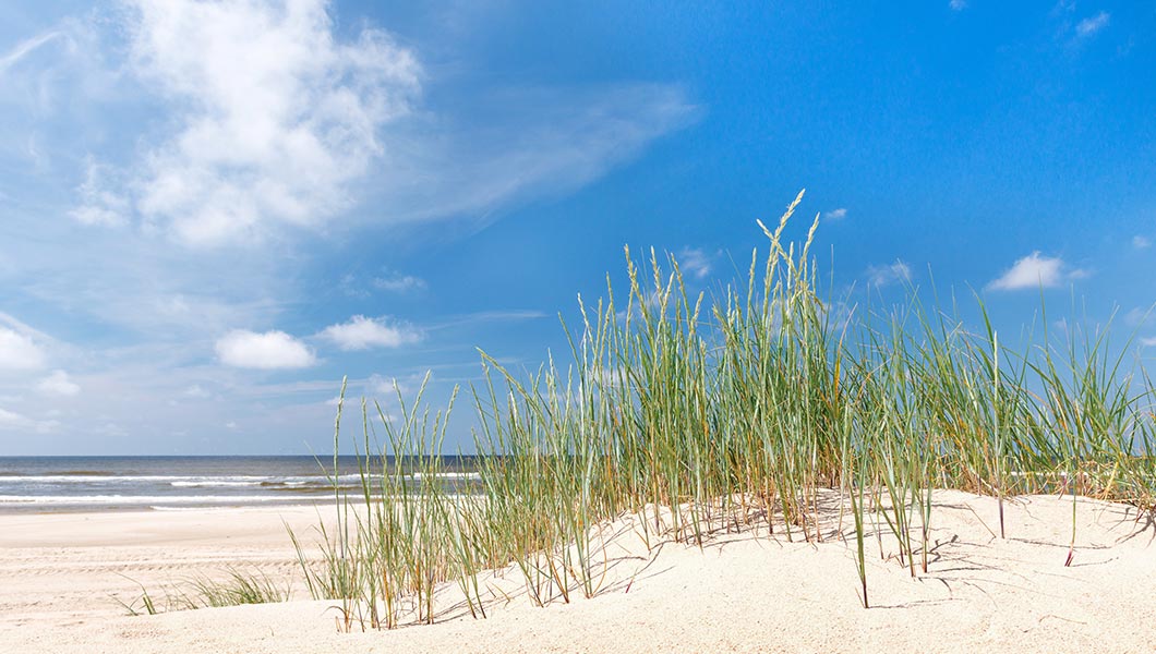 Your New Home In Paradise Latitude Margaritaville