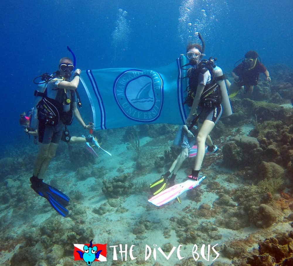 Flag Around the World