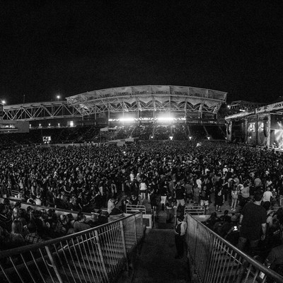 1B8A9507.jpg 1B8A9507.jpg