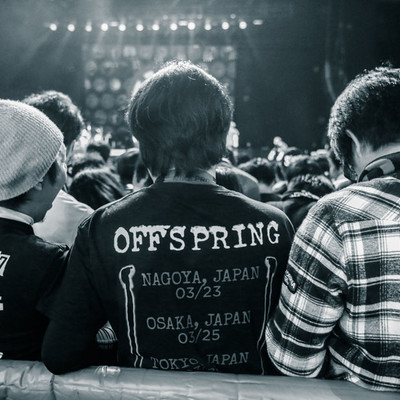 20170326_VK_TOS_0002.jpg 20170326_VK_TOS_0002.jpg