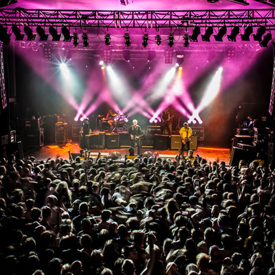 IMG_0135.jpg IMG_0135.jpg