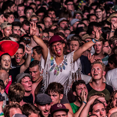 IMG_3232.jpg IMG_3232.jpg