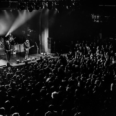 IMG_3650.jpg IMG_3650.jpg