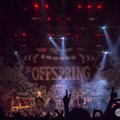 IMG_4010.jpg IMG_4010.jpg