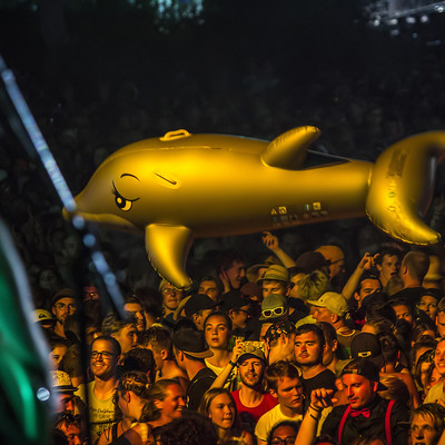 IMG_4171.jpg IMG_4171.jpg