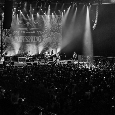 IMG_4390.jpg IMG_4390.jpg