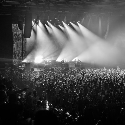 IMG_4402.jpg IMG_4402.jpg