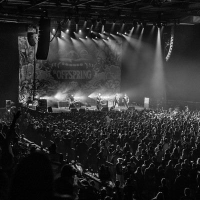 IMG_4412.jpg IMG_4412.jpg