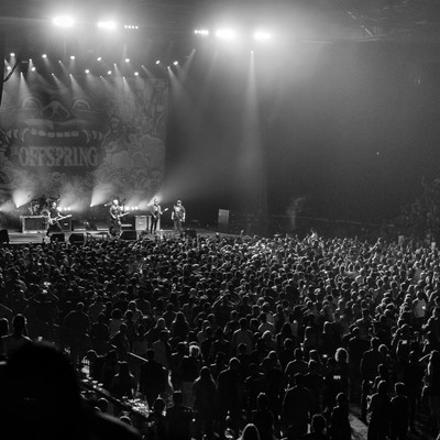 IMG_4418.jpg IMG_4418.jpg