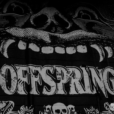 IMG_5250.jpg IMG_5250.jpg