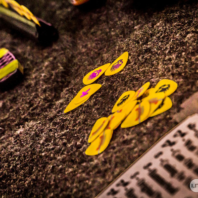 IMG_8793.jpg IMG_8793.jpg