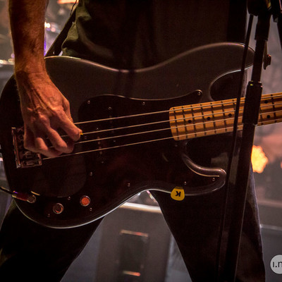 IMG_9772.jpg IMG_9772.jpg