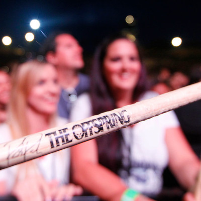 KC_Alfred_Offspring_001.jpg KC_Alfred_Offspring_001.jpg