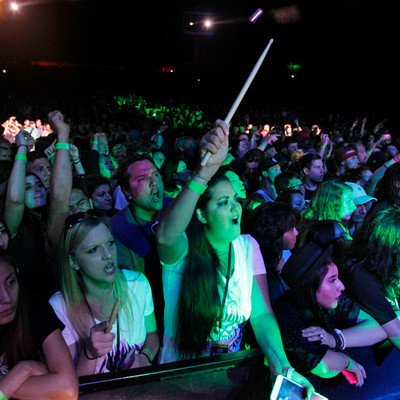 KC_Alfred_Offspring_006.jpg KC_Alfred_Offspring_006.jpg