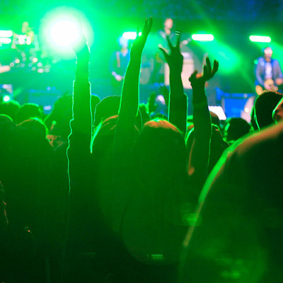 KC_Alfred_Offspring_009.jpg KC_Alfred_Offspring_009.jpg