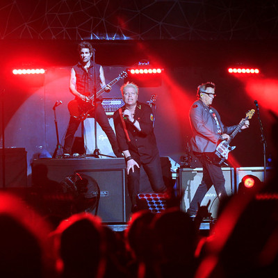 KC_Alfred_Offspring_010.jpg KC_Alfred_Offspring_010.jpg