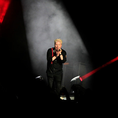 KC_Alfred_Offspring_011.jpg KC_Alfred_Offspring_011.jpg