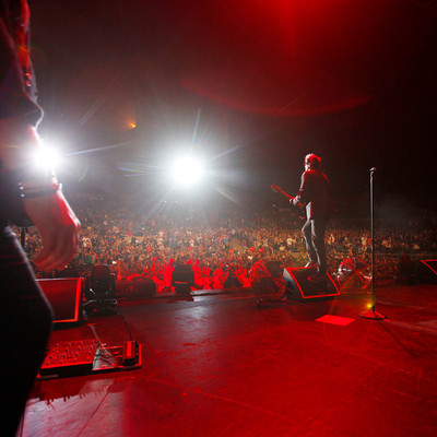 KC_Alfred_Offspring_015.jpg KC_Alfred_Offspring_015.jpg