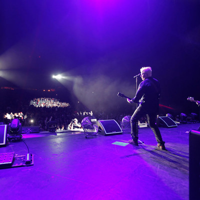 KC_Alfred_Offspring_017.jpg KC_Alfred_Offspring_017.jpg