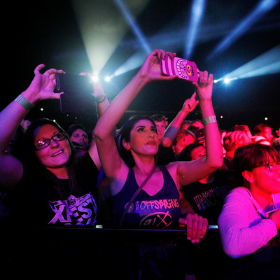 KC_Alfred_Offspring_023.jpg KC_Alfred_Offspring_023.jpg