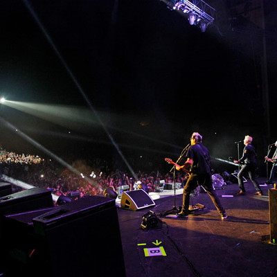 KC_Alfred_Offspring_026.jpg KC_Alfred_Offspring_026.jpg