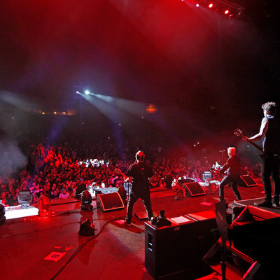 KC_Alfred_Offspring_032.jpg KC_Alfred_Offspring_032.jpg