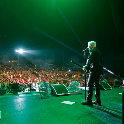 KC_Alfred_Offspring_033.jpg KC_Alfred_Offspring_033.jpg