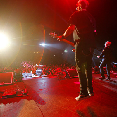 KC_Alfred_Offspring_034.jpg KC_Alfred_Offspring_034.jpg