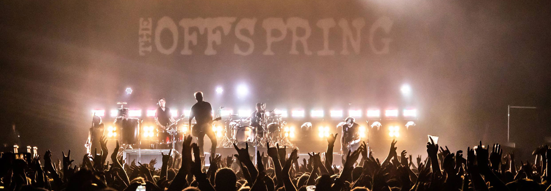 offspring_1219.jpg offspring_1219.jpg