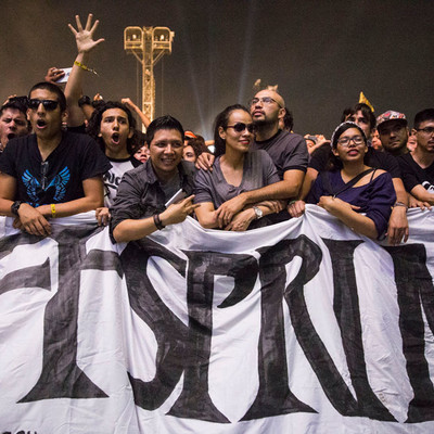 offspring_palnorte_11.jpg offspring_palnorte_11.jpg