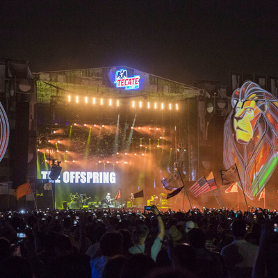 offspring_palnorte_17.jpg offspring_palnorte_17.jpg