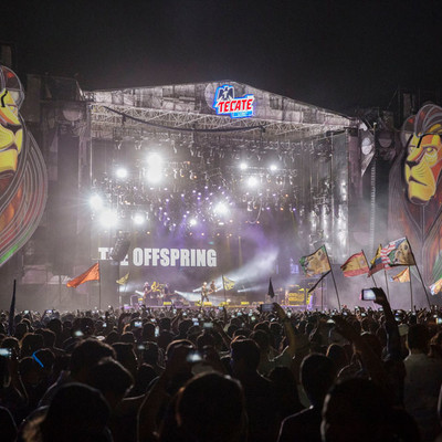 offspring_palnorte_18.jpg offspring_palnorte_18.jpg