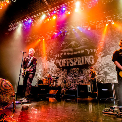 OFFSPRING170323_113.jpg OFFSPRING170323_113.jpg