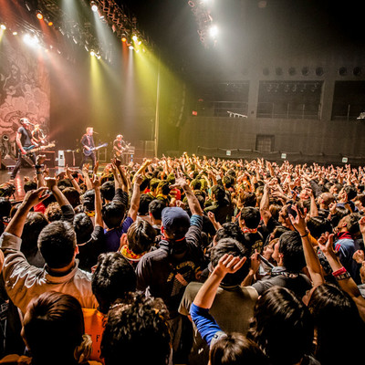 OFFSPRING170323_157.jpg OFFSPRING170323_157.jpg