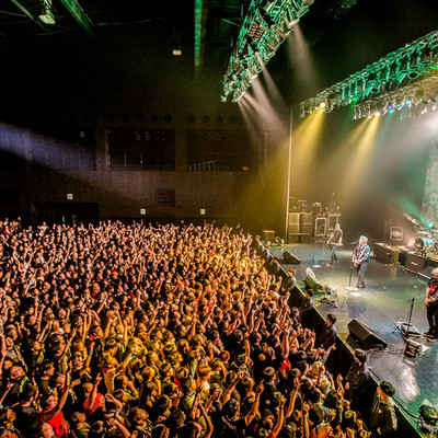 OFFSPRING170323_177.jpg OFFSPRING170323_177.jpg