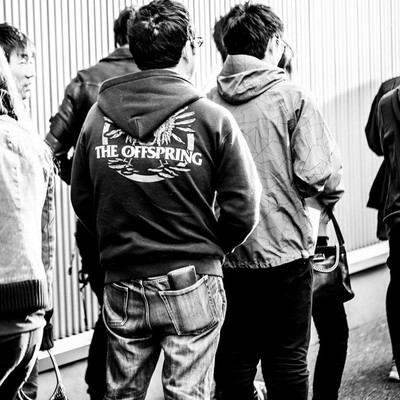 OFFSPRING170323_3.jpg OFFSPRING170323_3.jpg