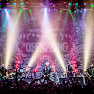 OFFSPRING170323_65.jpg OFFSPRING170323_65.jpg