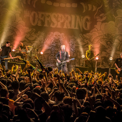 OFFSPRING170323_72.jpg OFFSPRING170323_72.jpg